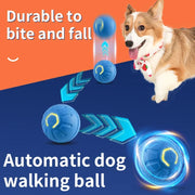 Smart Motion Ball for Dogs.